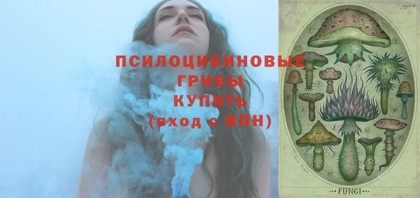сатива Зеленокумск