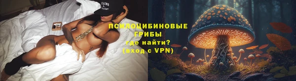 сатива Зеленокумск