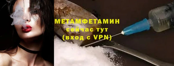 сатива Зеленокумск