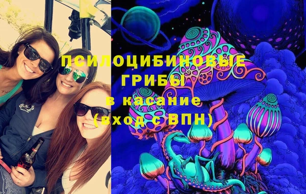 гашик Зеленодольск