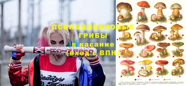гашик Зеленодольск