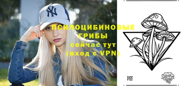 гашик Зеленодольск
