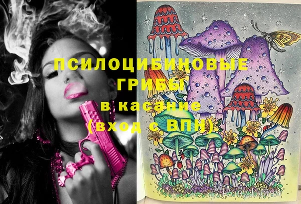гашик Зеленодольск