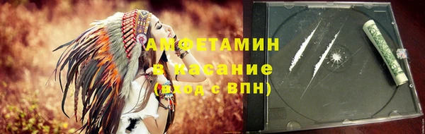 сатива Зеленокумск